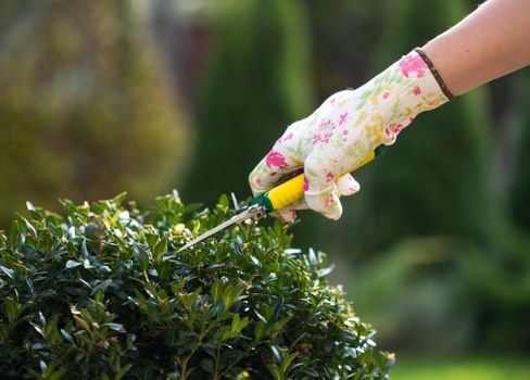 Person using a screen reader while browsing Landscapers Finsbury Park accessibility information