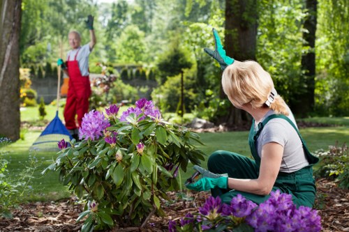 In a well-maintained garden outdoor space, a woman wearing teal gardening gloves and casual clothing is crouched down near a cluster of flowering plants with purple blooms, trimming or tending to the plants with her hands. The garden features a lush, green lawn with dense trees and shrubs in the background, providing shade and natural enclosure. To the left, partially visible, is a child in a red apron and gloves holding a garden rake, engaged in outdoor maintenance activities. The garden area includes soil beds with mulch around the plants, bordered by paving stones that outline walking paths or patio areas. Bright natural light illuminates the scene, suggesting a clear day, and the environment appears peaceful and thriving, indicative of a professionally maintained garden, such as those landscaped by companies like Landscapers Finsbury Park. This setting demonstrates typical gardening and lawn care elements, including healthy plant growth, edging, and outdoor tools, reflecting a cared-for outdoor space suitable for professional gardening services.