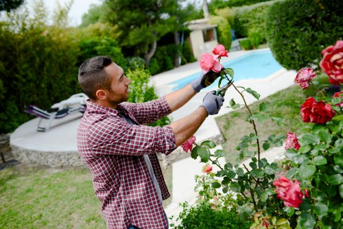 A man with short dark hair, wearing a red checkered shirt and grey gardening gloves, is pruning a flowering rose bush in a well-maintained backyard garden. The garden features a lush, green lawn and a variety of hedges and shrubs, with a paved patio area visible in the background. Behind him, there is a swimming pool with a white border, surrounded by tall trees and dense foliage, creating a private outdoor space. The scene is set during a bright, clear day with natural sunlight illuminating the garden, highlighting the vibrant pink and red blooms of the roses and the rich green tones of the garden plants. The environment looks tidy and cared for, reflecting professional gardening and landscaping standards often associated with services like those provided by Landscapers Finsbury Park, especially within the Finsbury Park area in London, N17 postcode. This outdoor space exemplifies a typical residential garden prepared for ongoing maintenance and enhancement, supporting local eco-friendly gardening practices and landscape improvement efforts.