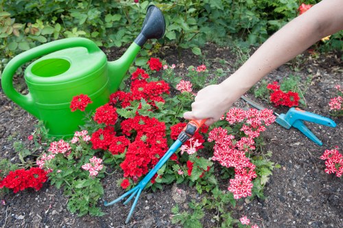 A garden scene showing a section of soil with a variety of red and pink flowering plants, likely geraniums, arranged in a flower bed. Behind the plants, there is a dense hedge or shrubbery providing a green backdrop. In the foreground, an individual is using a hand fork to tend the soil, with their arm visible. Nearby, a bright green watering can rests on the ground, and a pair of gardening shears is positioned next to the person's hand, suggesting active garden maintenance. The outdoor setting appears well-maintained and is indicative of typical residential garden upkeep, emphasizing gardening activities such as planting and soil care, which are relevant to landscaping and outdoor gardening services in the Finsbury Park area. The scene is lit naturally, indicating a clear, daytime outdoor environment with no adverse weather visible.