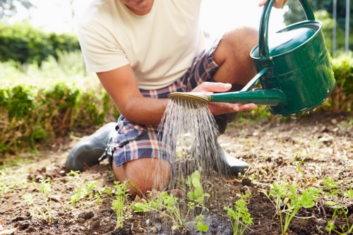 The image shows a person kneeling on a garden bed with a variety of small green plants, using a green watering can to water the young seedlings. The garden features a mixture of soil and emerging plants, with a well-maintained grassy area and some hedges or bushes visible in the background. The person is dressed in casual clothing, including a white t-shirt and plaid shorts, and is watering the plants under natural daylight, suggesting a sunny or partly cloudy day. This outdoor garden environment reflects typical features of landscaped yards or front gardens in the Finsbury Park area, with a focus on plant care and nurturing young greenery, aligning with gardening services provided by Landscapers Finsbury Park to enhance outdoor spaces.