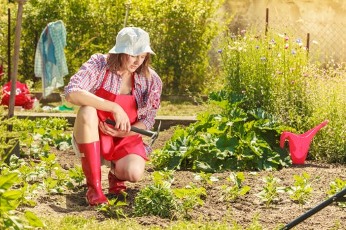 A woman wearing a white sun hat, red apron, and red rubber boots is kneeling on the soil of a garden in Finsbury Park, tending to young vegetable plants. The garden features well-defined planting beds with a mixture of leafy greens and small plants, bordered by wooden edging. In the background, there is a patch of flowering plants with purple and yellow blooms, along with a bushy hedge and several trees that provide shade and natural shelter. To the side, a pink watering can is placed on the soil, and a garden rake rests nearby. A clothesline with colourful laundry hangs in the distance, and the scene is illuminated by natural sunlight, suggesting a clear, sunny day. This outdoor space showcases elements typical of a residential garden in London, emphasizing the connection between gardening and outdoor maintenance services provided by companies like Landscapers Finsbury Park, supporting lush lawn and plant care within an attractive landscaped yard.