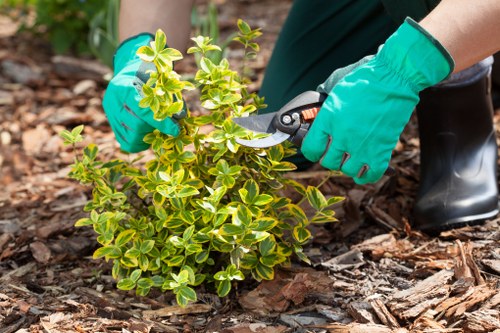 Diverse landscaping projects showcasing various styles