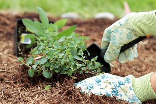 Sustainable landscaping elements including rain gardens and efficient irrigation in Finsbury Park