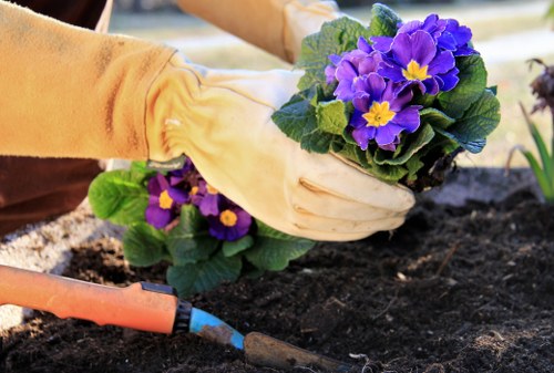 Team of landscapers planning a new outdoor space