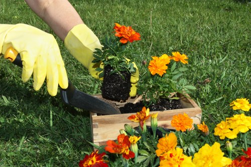 Eco-friendly garden waste disposal in Finsbury Park