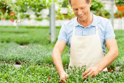 The image depicts a smiling man working in a lush, well-maintained garden, surrounded by vibrant green foliage and flowering plants. He is wearing a light blue shirt and a beige apron, and appears to be inspecting or tending to a row of small, leafy plants with delicate red blossoms. The garden features neatly arranged flower beds, a lawn area with dense grass, and a paving pathway visible in the background. Tall trees and a hedge line provide a natural backdrop, indicating a private outdoor space with a balanced combination of cultivated and natural elements. The lighting suggests a bright, clear day, ideal for outdoor gardening activities. The scene exemplifies professional gardening and landscaping practices that a company like Landscapers Finsbury Park might offer, focusing on garden health, plant care, and outdoor aesthetics in the Finsbury Park area of London, N4 postcode district.