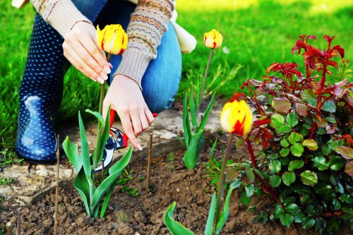 The image shows a person planting yellow and red tulips in a well-maintained garden bed with rich, dark soil. Their hands are carefully inserting the tulip bulbs into the ground, and they are wearing a knitted sweater and blue jeans, with blue rubber boots visible. Nearby, there is a lush hedge with green and reddish leaves, providing a colorful contrast to the planting area. The garden features a neatly edged lawn in the background, with a mixture of green grass and some paving stones along the border. The scene suggests a calm outdoor environment, possibly during mild weather, and highlights typical gardening activities such as planting and soil preparation in a residential garden setting. The attention to planting detail and garden organization aligns with professional landscaping and gardening services offered by companies like landscapersfinsburypark.co.uk, serving the Finsbury Park area.