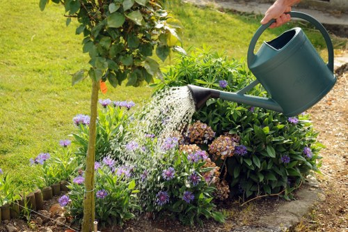 A garden scene featuring a flower bed bordered by small wooden edging, with vibrant purple and pink flowering plants and lush green foliage. In the background, a neatly mowed lawn extends to a shrub and a small tree, while in the foreground, a person is watering the plants with a large dark green watering can. The garden appears well-maintained and is situated in a residential outdoor space within Finsbury Park, with natural sunlight illuminating the scene, highlighting the healthy, colorful plants and well-kept grass. This image reflects typical landscaping and garden care activities that a professional gardening service, such as Landscapers Finsbury Park, might undertake to enhance outdoor spaces in the local area.