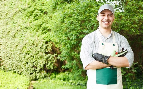 A gardener in a white and grey uniform with a grey cap and gardening gloves is standing outdoors in front of a lush green hedge and trees. The garden features a well-maintained lawn with vibrant, evenly cut grass, bordered by a flower bed with soil and a mix of small plants. Behind the gardener, there is a paved pathway and a wooden decking area, suggesting a landscaped backyard or front garden typical of residential outdoor spaces in Finsbury Park. The weather appears bright with natural daylight, and the overall scene emphasizes a tidy, cultivated garden space suitable for professional gardening services from Landscapers Finsbury Park, demonstrating elements of lawn care and general outdoor maintenance.