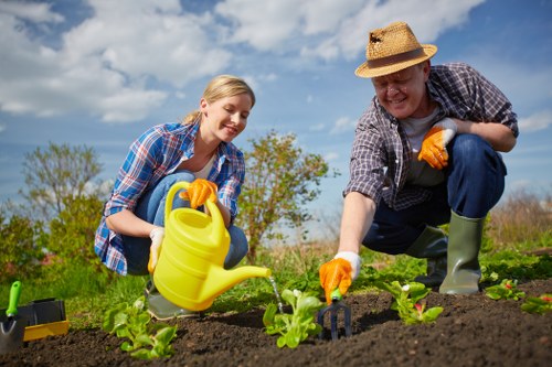 A woman and an older man are working together in a well-maintained garden, planting young green vegetable seedlings in rich, dark soil. The garden features neat rows of leafy plants, with the foreground showing freshly dug soil and the background containing a lush, green hedge and a clear blue sky with a few scattered clouds. The woman is wearing a blue and red plaid shirt, and the man is in a straw hat, patterned shirt, and green rubber boots; both are wearing orange gardening gloves. They are engaged in planting, with gardening tools nearby, indicating outdoor maintenance activity typical in landscaping and garden care. The setting suggests a suburban outdoor space in Finsbury Park or nearby London postcode, under sunny weather, highlighting a collaborative gardening effort aligned with professional gardening services by Landscapers Finsbury Park.