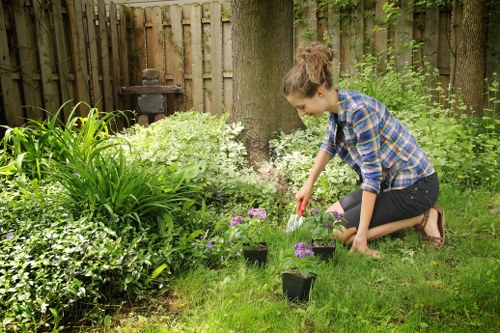 Tools used for garden clearance tasks