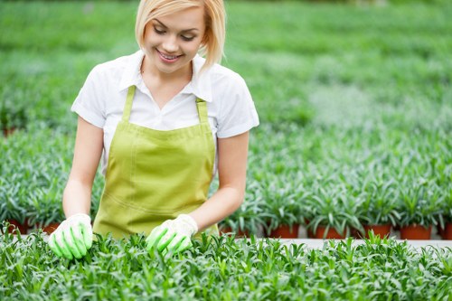 A young woman with short blonde hair, wearing a white shirt, a light green apron, and matching gardening gloves, is tending to a row of lush, green plants in a well-maintained garden. The garden includes neatly arranged flower beds or vegetable patches, with dark soil visible at the edges of the plants. Behind her, there are additional rows of similar greenery extending into the background, suggesting an outdoor garden space designed for horticultural care. The weather appears bright and mild, with natural daylight illuminating the scene, indicating good conditions for gardening work. This setting is characteristic of professional gardening and landscaping environments, such as those managed by landscapers in the Finsbury Park area, focused on outdoor maintenance and plant cultivation, supporting the services offered by companies like Landscapers Finsbury Park.