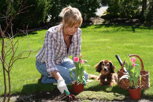 A woman with blonde hair, wearing a checked shirt and gloves, is crouched down in a lush, well-maintained garden in Finsbury Park, planting pink tulips in a flower bed bordered by dark soil. The garden features a vibrant green lawn with neatly trimmed grass, surrounded by mature trees and shrubs providing shade and privacy. To her right, a small brown and white puppy sits attentively on the grass, observing her planting activity. A wicker basket filled with more pink tulips and a gardening trowel are positioned nearby, indicating ongoing garden maintenance. The scene is illuminated by natural daylight, suggesting a clear, mild weather day, and the overall setting shows a carefully landscaped outdoor space consistent with professional gardening and landscaping standards in the Finsbury Park area. This image aligns with services offered by Landscapers Finsbury Park, specialising in garden planting, lawn care, and outdoor landscape improvements.