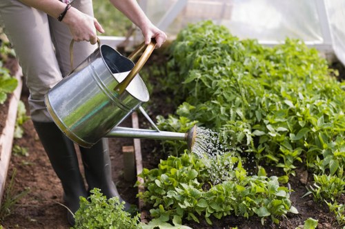 Gardener trimming shrubs in a Finsbury Park garden