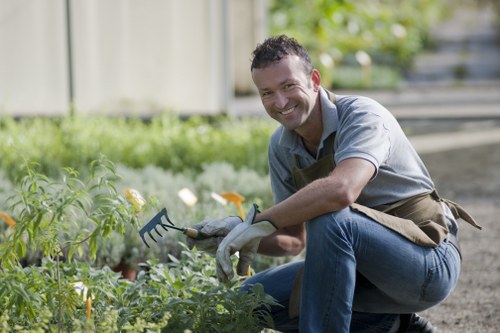 A man with dark, curly hair and a broad smile is kneeling in a well-maintained garden, tending to a lush bed of green plants and small flowering flowers. He is wearing a light grey shirt, blue jeans, and gardening gloves, holding a small garden fork in his right hand. The garden features a neatly edged lawn in the foreground, with a mix of dense shrubs and young plants in the background, bordered by a wooden fence and a gravel path. The setting suggests a warm, sunny day, with natural light illuminating the vibrant green foliage and the man's cheerful expression. Behind him, there are hints of trees and a cultivated outdoor space, indicating a private residential garden or landscaped backyard typical of north London areas such as Finsbury Park. The scene exemplifies outdoor maintenance and gardening work provided by local landscapers, highlighting their attention to detail in caring for natural garden elements and ensuring an inviting outdoor environment.