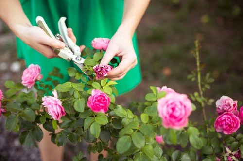 Professional landscaper designing a garden