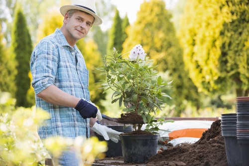 Lush green lawn maintained by Finsbury Park landscapers