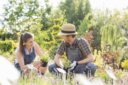 Sustainable garden with native plants